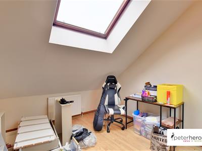 Picture 21